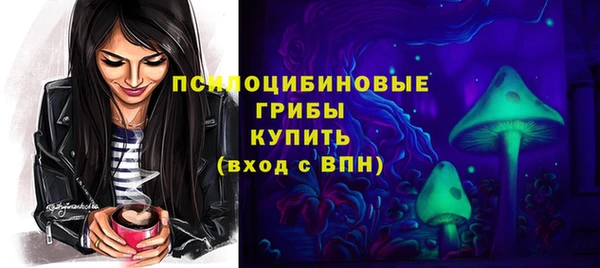 стафф Козельск